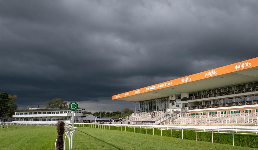 Christmas Jumper Raceday - Uttoxeter Racecourse