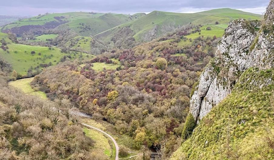 Wonders of the Manifold Valley