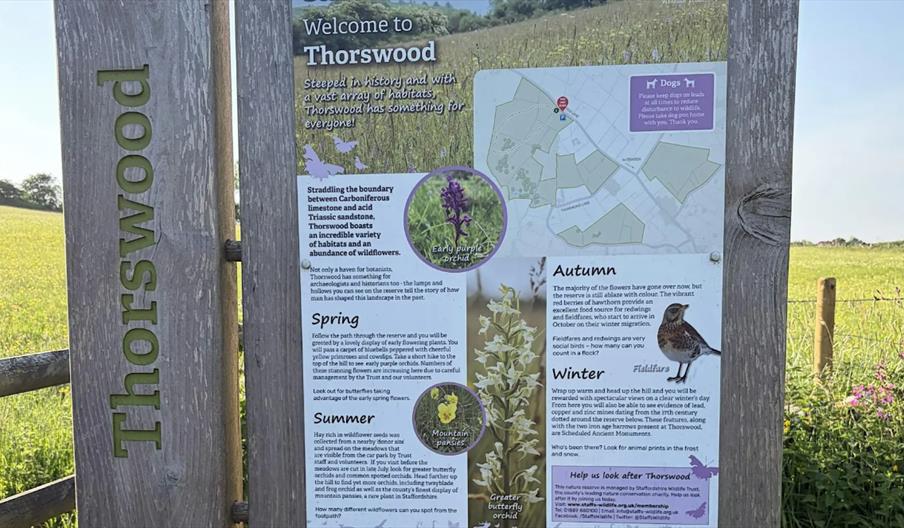 Walk the Moorlands - The Wood and not the Cave