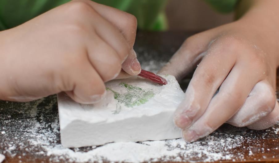 Fossil Making Craft