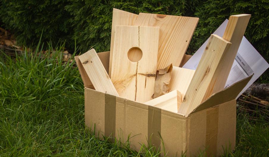 Ilam Park: Father's Day Bird Box Workshop