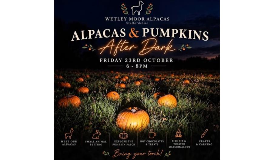 Alpacas & Pumpkins After Dark