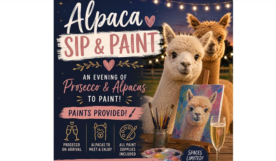 Alpaca Sip & Paint