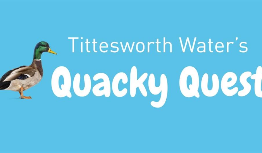 Tittesworth Water's Quacky Quest