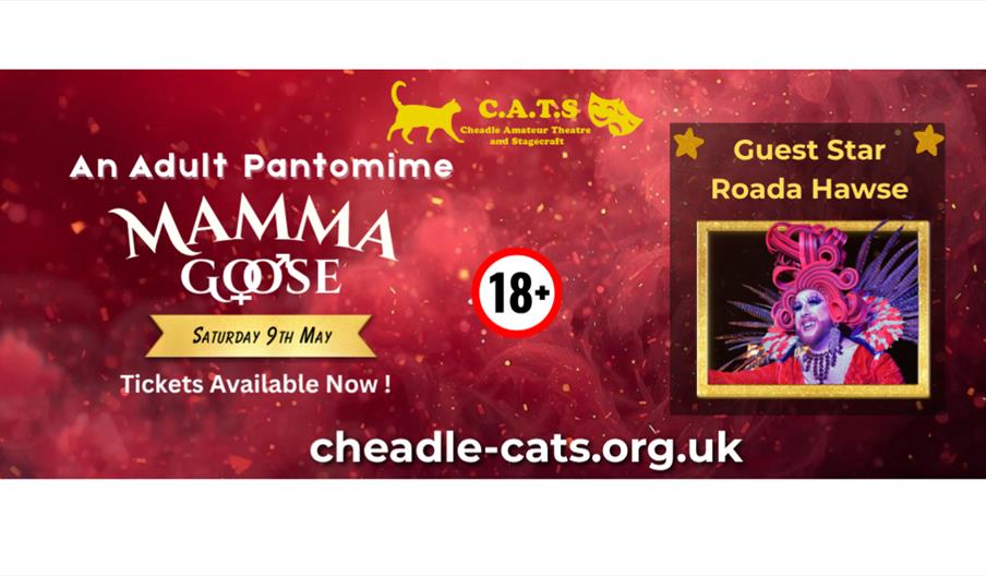 Mamma Goose - Adult Pantomime