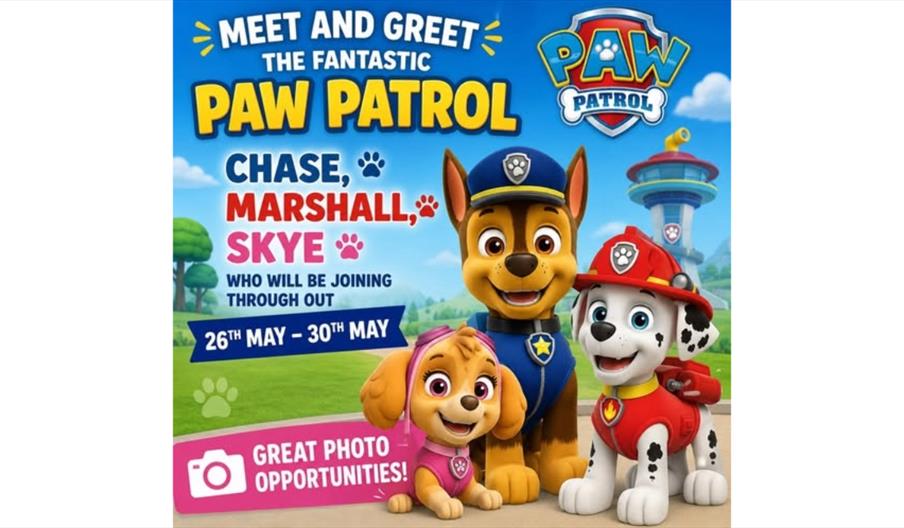 Meet & Greet the Fantastic Paw Patrol Crew!