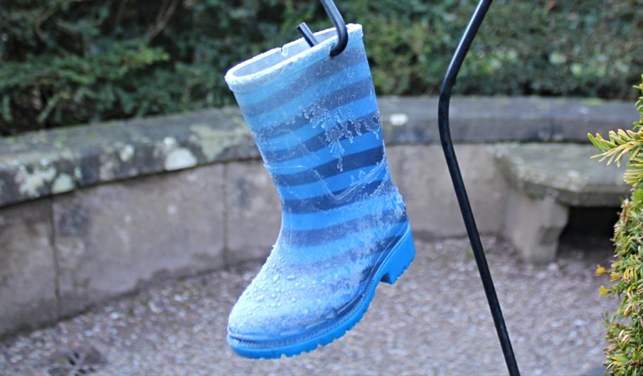 Wellie Boot Trail