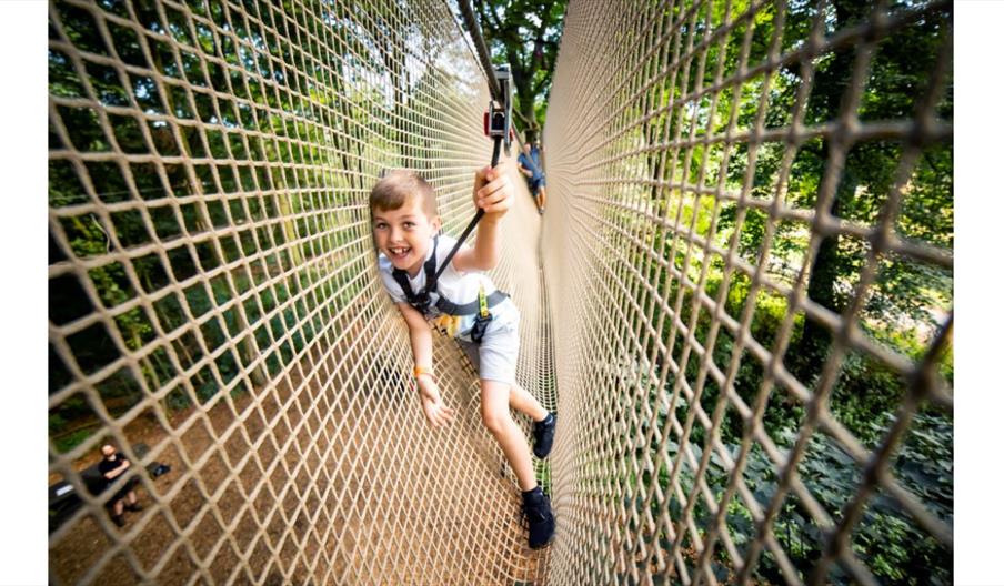 Boy in net bridge at Go Ape Cannock