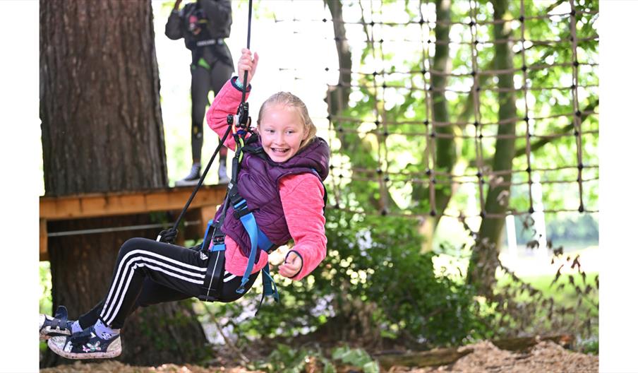 Child taking part in a high ropes course at Go Ape Cannock.