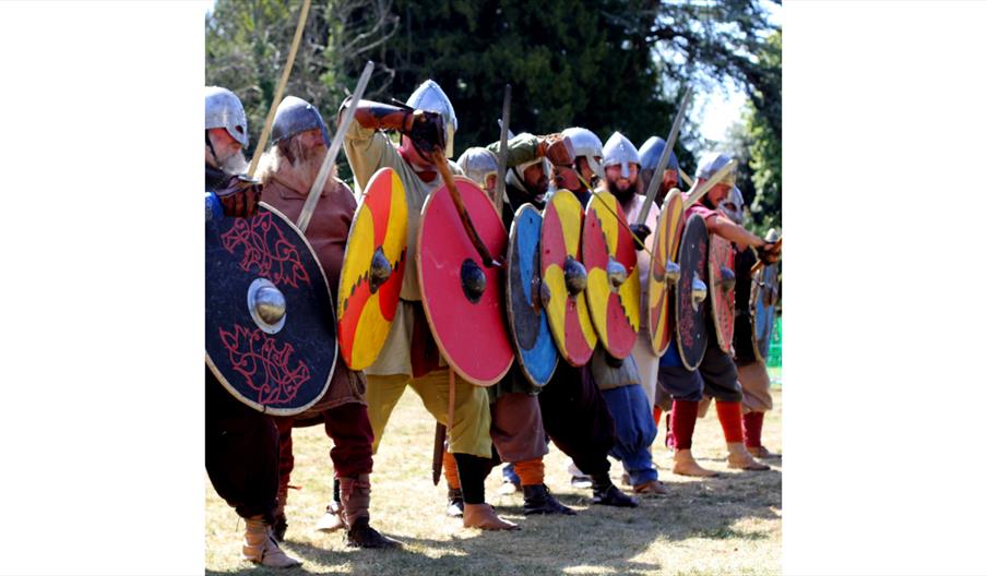 Vikings holding up shields in a line