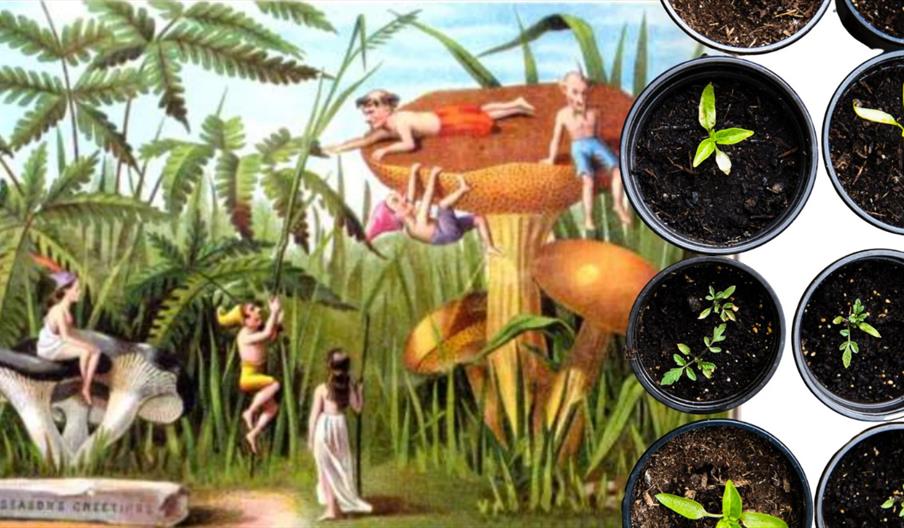 Promotional image for a summer gardening craft activity featuring an illustrated garden scene with giant mushrooms and miniature figures alongside pot