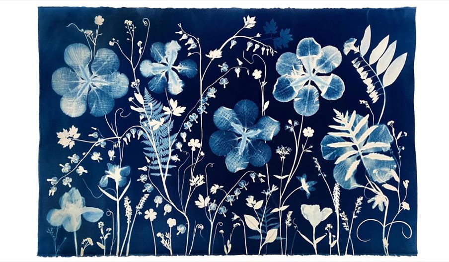 Blue and white botanical artwork featuring pressed flowers, leaves, and ferns arranged on a deep blue background.