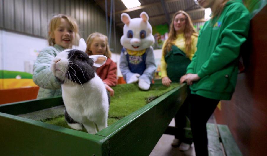 Meet Eenie Beanie bunny - and real rabbits - as part of your Easter Egg-venture