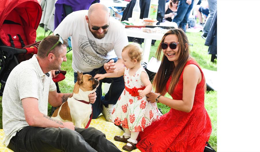 Burton Albion Family Fun Raceday