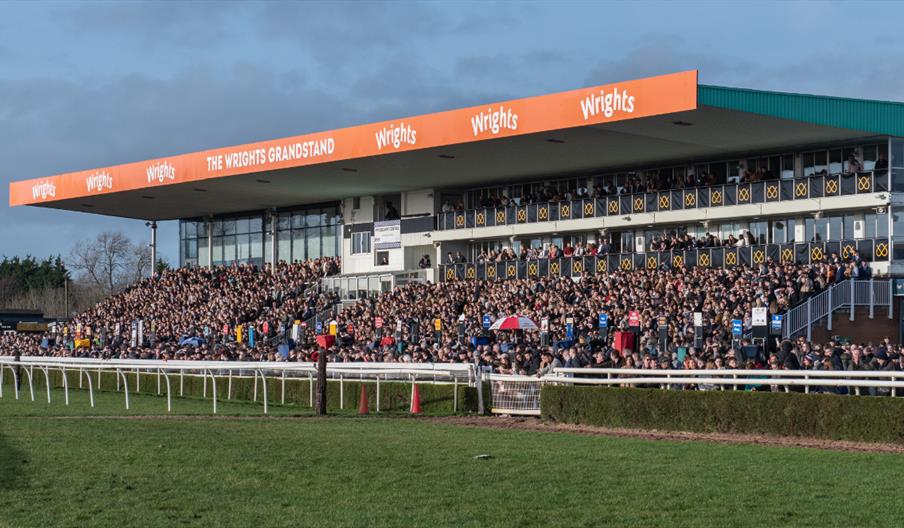 Afternoon Racing