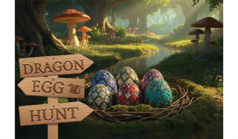 Dragon eggs