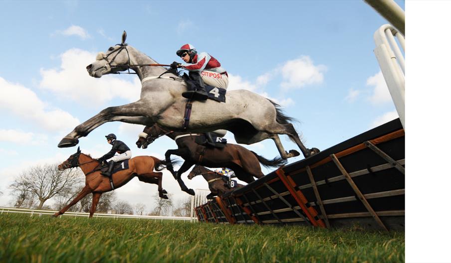 Afternoon Racing