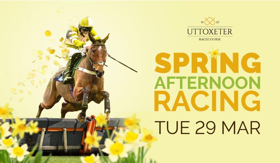 Spring Afternoon Racing