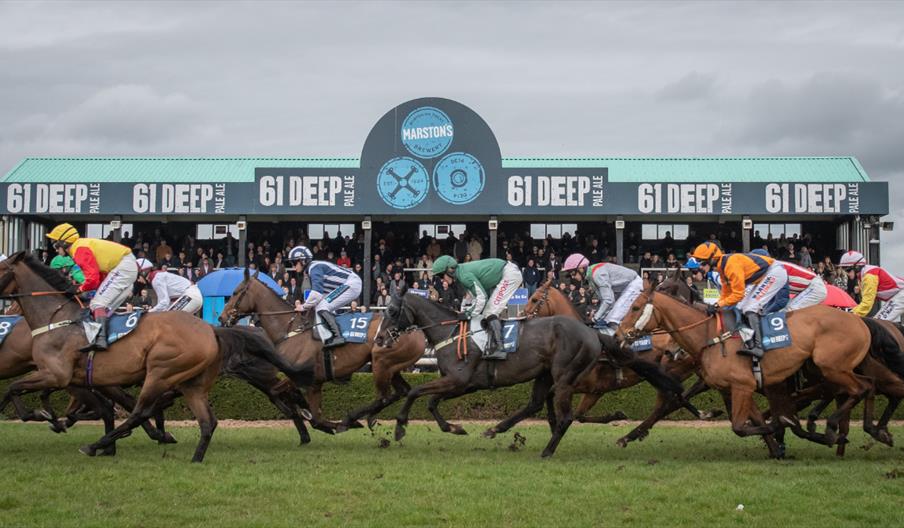 Afternoon Racing