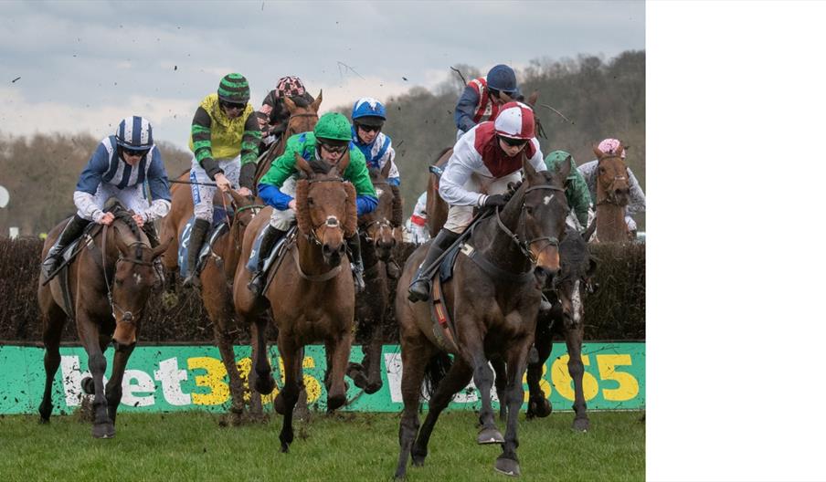 Christmas Party Raceday