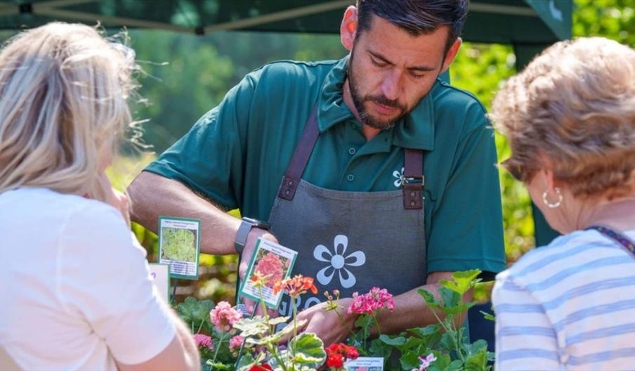 A gardener at a plant stall talking to two visitors while displaying flowers and plant labels.