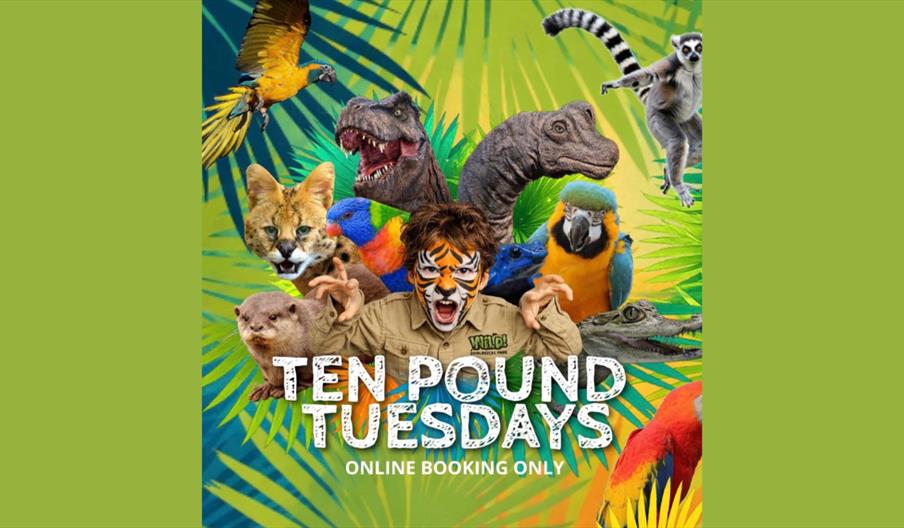 Ten pound Tuesday poster with a kid and animals around him.