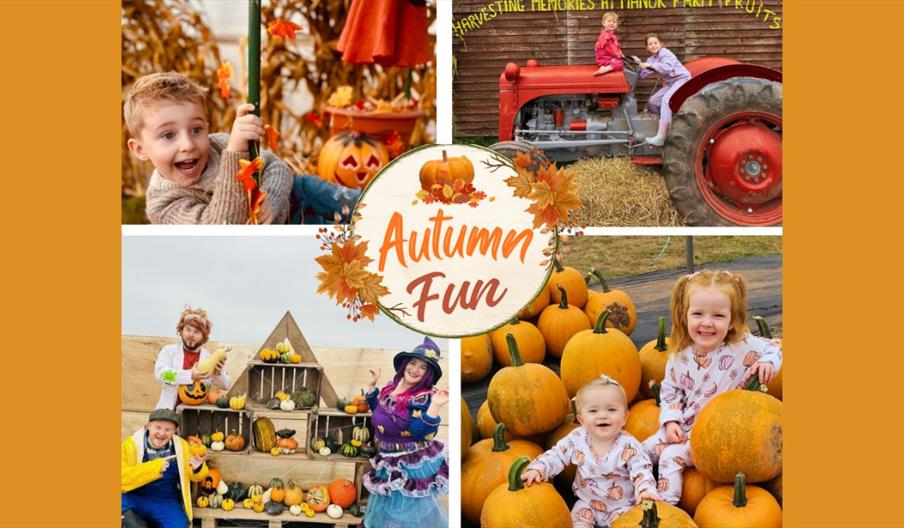 Autumn Fun at the farm
