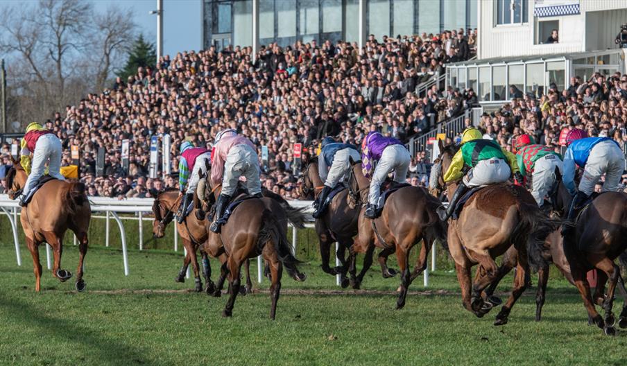 Summer Afternoon Racing