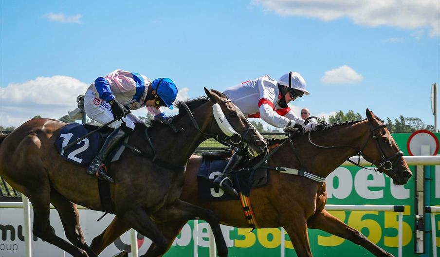Marston's Staffordshire Plate Raceday 2024