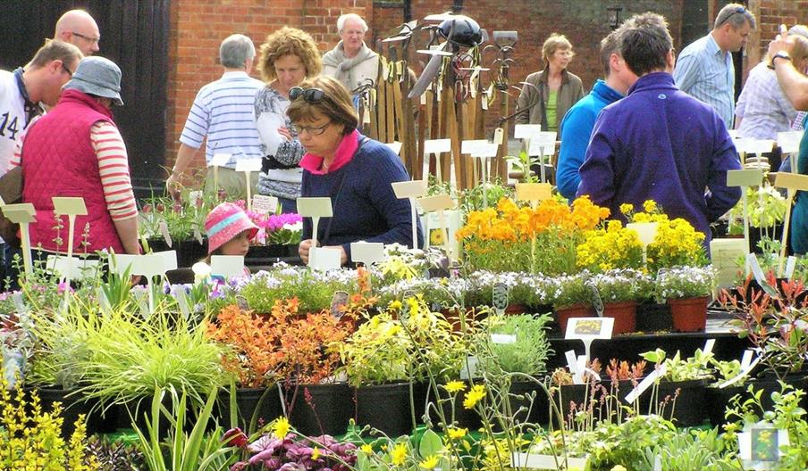 Staffordshire Day - Spring Plant Hunters' Fair at Weston Park