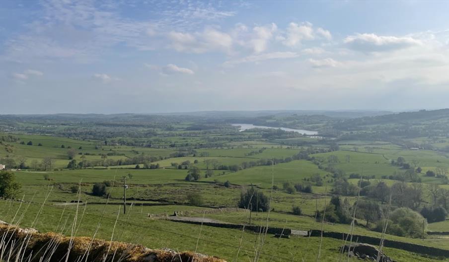 SMWF 2026 - Walk the Leek Half or half it again