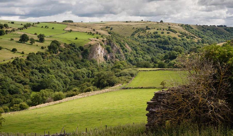 Weag's Barn, photo by Richard Ell