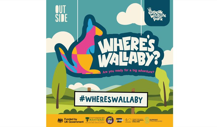 Where's Wallaby?
