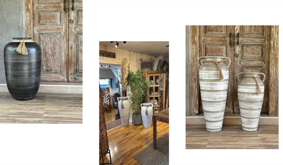 Wild Interiors
