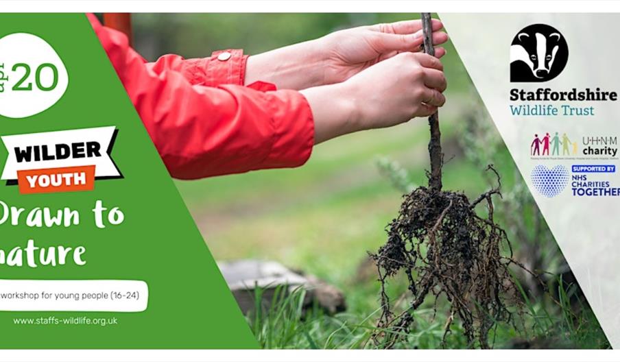 image of tree planting