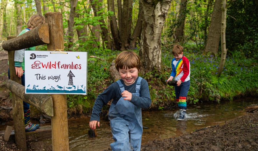Wildfamilies at Palm Brook