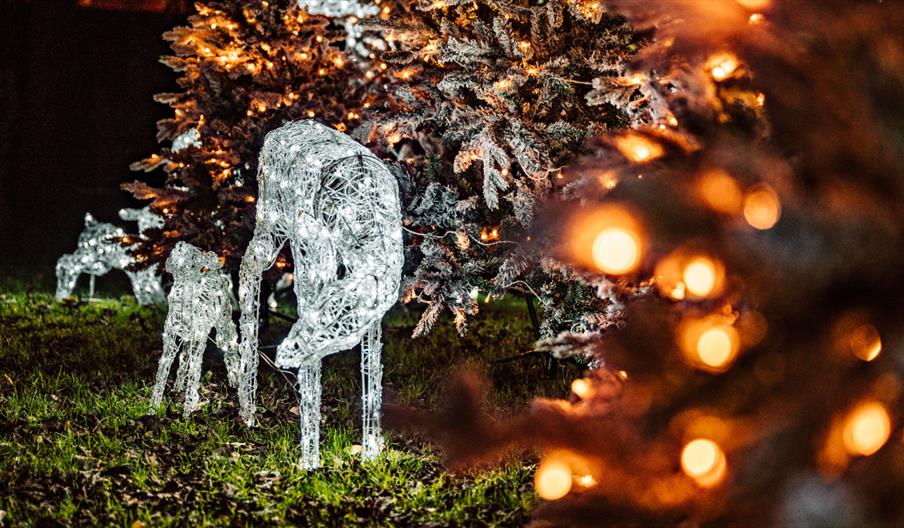 Two magical illuminated deer on a light trail in a wood