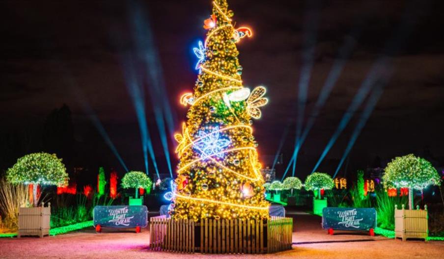 Illuminated Christmas Tree at Trentham.