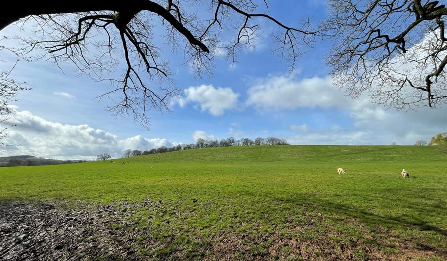 A green hill with clouds in a blue sky