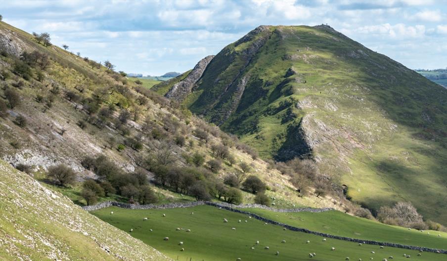 Guided Walk: along the River Manifold and back