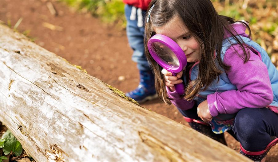 Hunt for critters at Apedale Country Park on Staffordshire Day