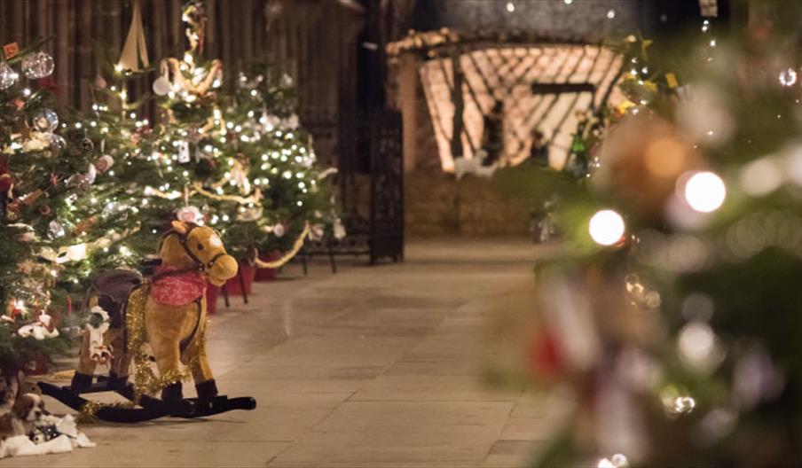 Christmas Tree Festival