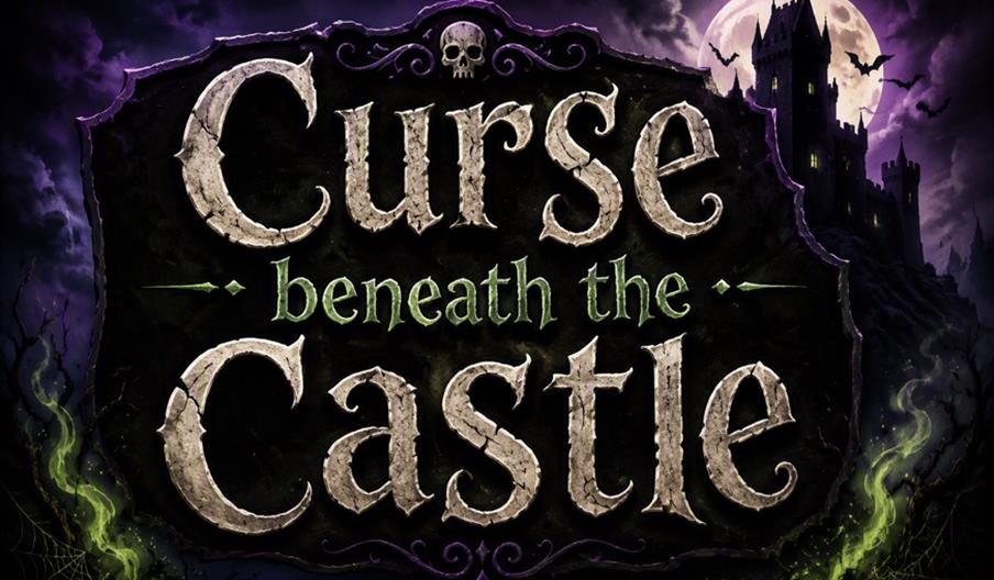 The curse castle poster