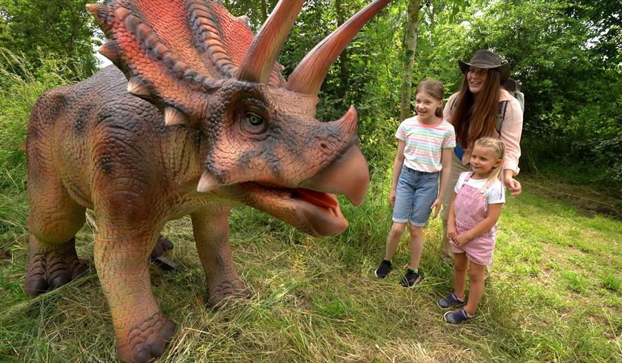 Dino Discovery Maize Maze: Summer PLAY@ Lower Drayton Farm