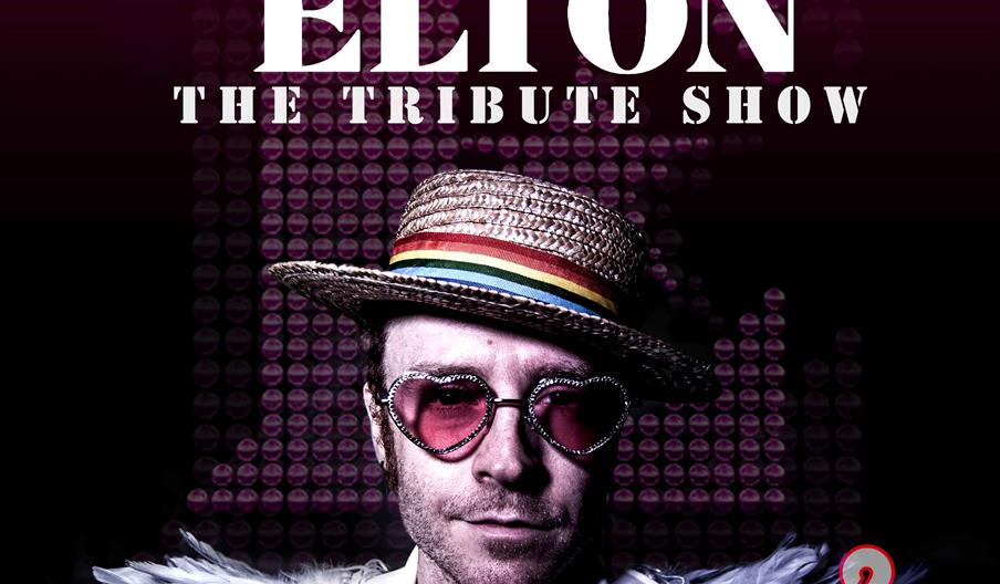 A man dressed as Elton John looks at the camera, and above his head big white letters say 'Young Elton: The Tribute Show'