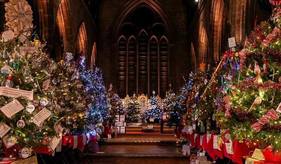 Image shows a church full of beautiful Christmas trees