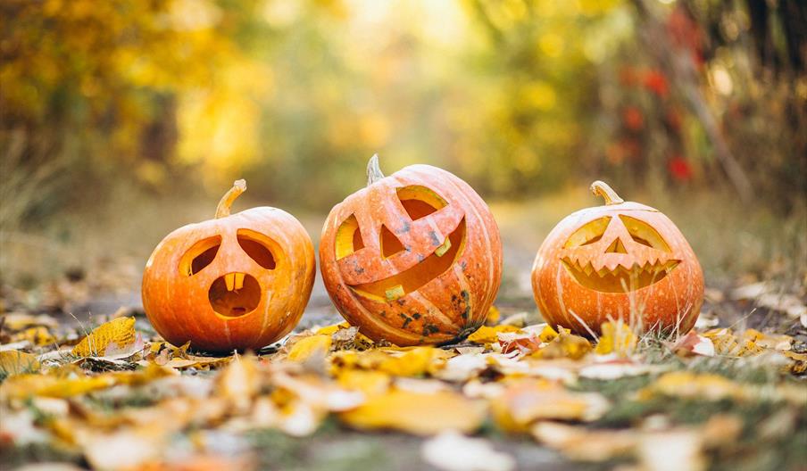 Coming soon: Half term activities with Grow North Staffs