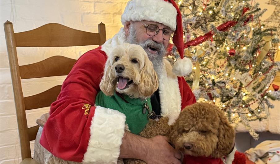 Santa with two dogs on his lap