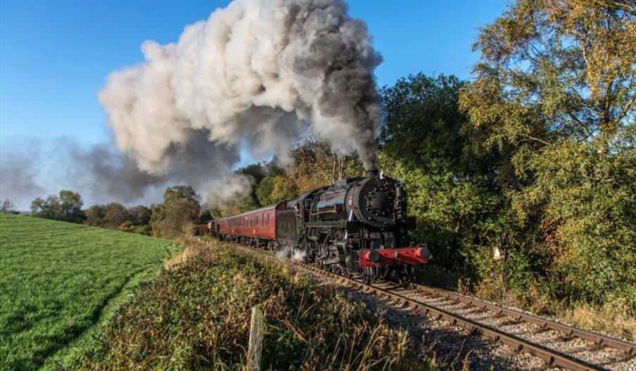 A steam train chugs through countryside, with a green field on one side and a woodland on the other, on a sunny day