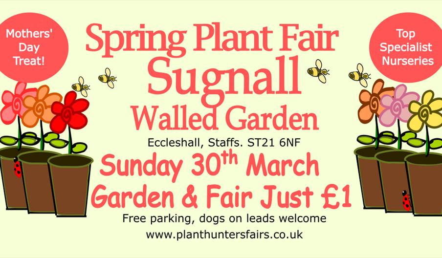 A graphic with details of the event and some computer drawings of flowers in plant pots